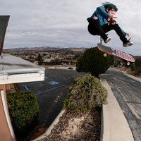 Powell Peralta Flight 317 K26 Chris Heit Skull Deck