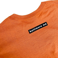 Barnyard T-Shirt (Rust)